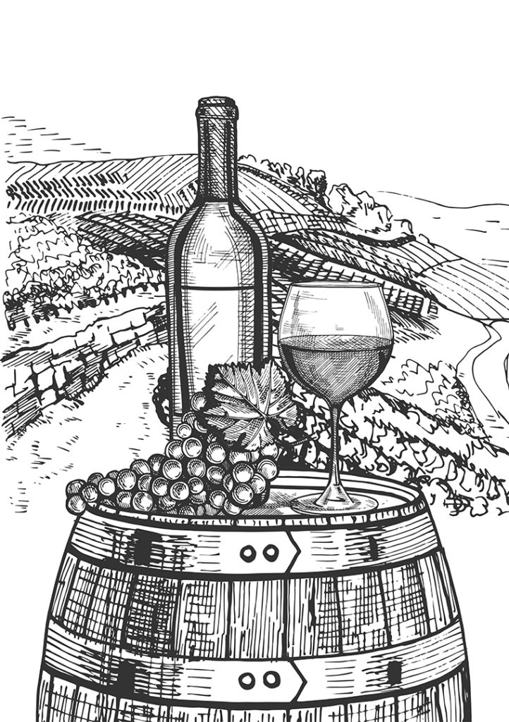 Vector illustration of a wine still life. Bottle, glass and a bunch of grapes on the wooden barrel on the wine walley background. Hand drawn vintage engraving style.